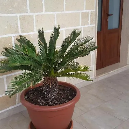 Casa Turistica Le Servite بيت ضيافة